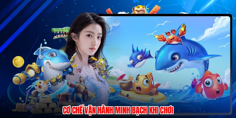 Cơ chế vận hành minh bạch khi chơi