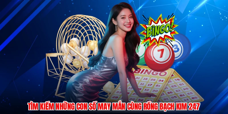 Tìm kiếm những con số may mắn cùng rồng bạch kim 247